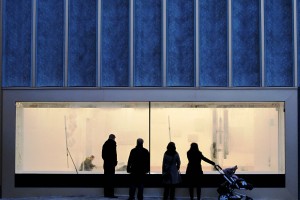 Window screen [Jan 2012]