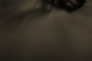 Flesh
