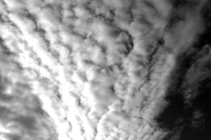 Nepholographer study XXVIa (B&W) [Oct 2011]