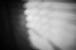 Soft fusion V [Jan 2014]